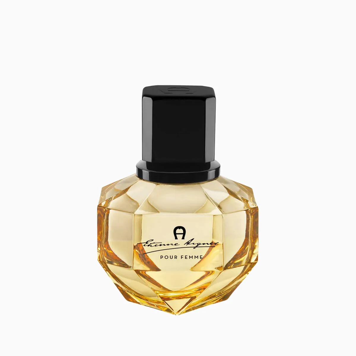 Aigner Etienne Eau de Parfum For Women 100ml