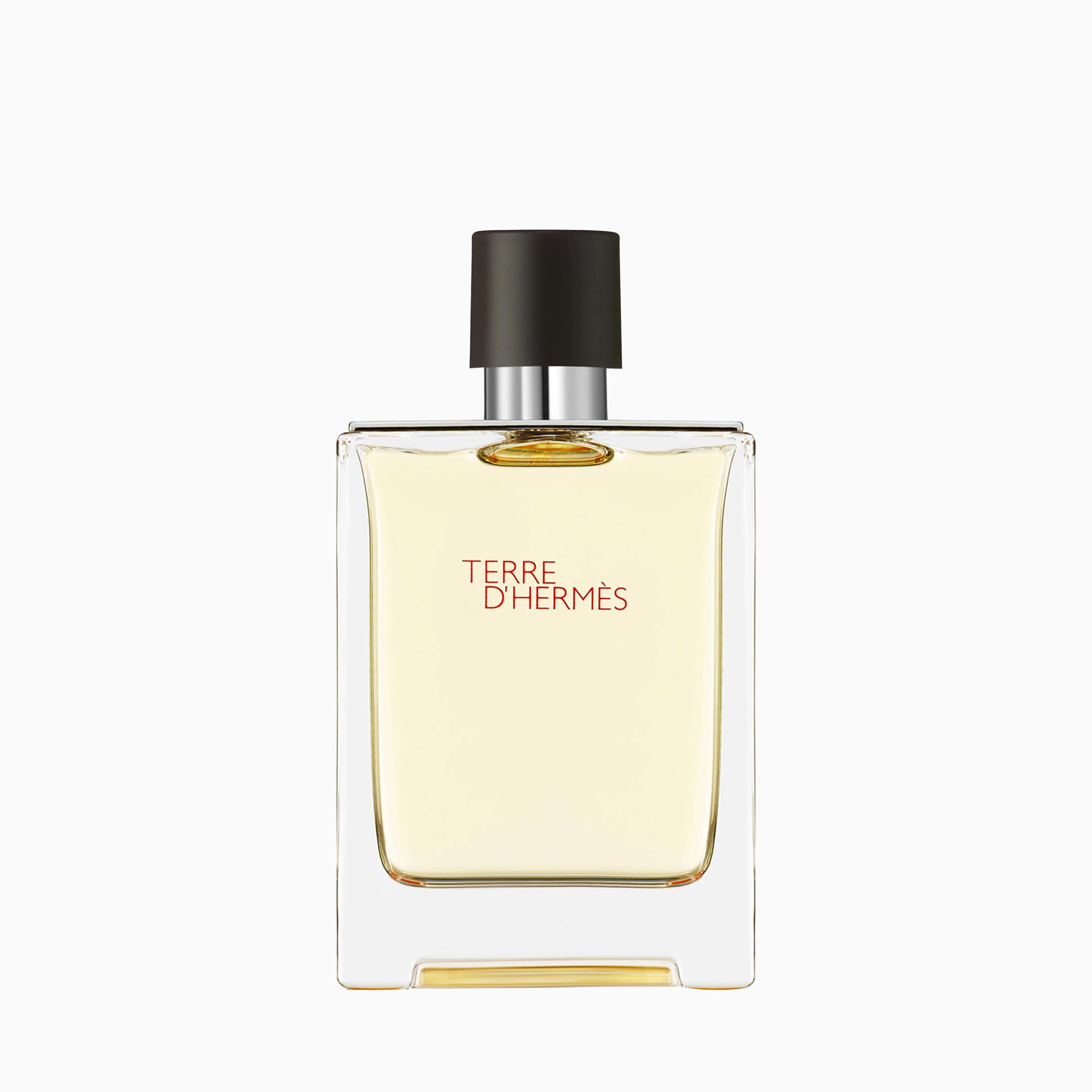 Hermes Terre d'Hermes Eau de Toilette For Men 100ml