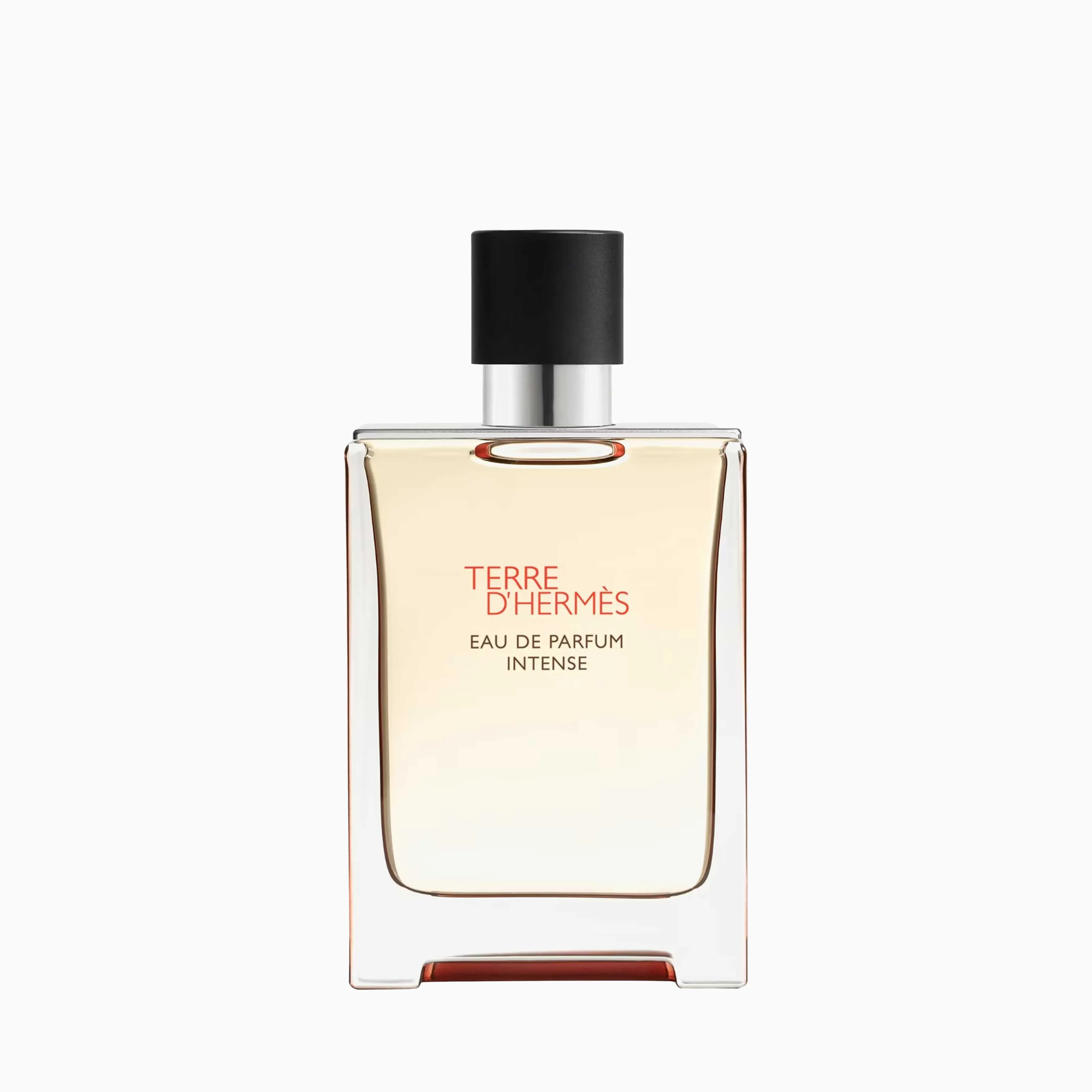 Hermes Terre d'Hermes Eau de Parfum Intense For Men 100ml