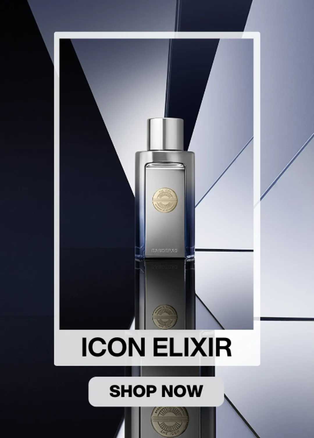 Antonio Banderas The Icon Elixir
